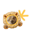 酒呑み犬の気持ち（個別スタンプ：1）