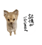 酒呑み犬の気持ち（個別スタンプ：4）