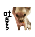 酒呑み犬の気持ち（個別スタンプ：7）