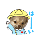 酒呑み犬の気持ち（個別スタンプ：9）