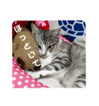 リモちゃん3（個別スタンプ：6）