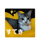 リモちゃん3（個別スタンプ：9）
