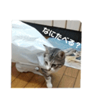 リモちゃん3（個別スタンプ：12）