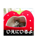 リモちゃん3（個別スタンプ：13）