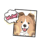 シェルティ『王子』いぬShetlandseepdog（個別スタンプ：3）