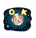 シェルティ『王子』いぬShetlandseepdog（個別スタンプ：6）