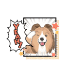 シェルティ『王子』いぬShetlandseepdog（個別スタンプ：10）