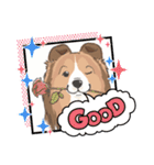 シェルティ『王子』いぬShetlandseepdog（個別スタンプ：11）