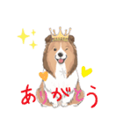 シェルティ『王子』いぬShetlandseepdog（個別スタンプ：15）