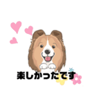 シェルティ『王子』いぬShetlandseepdog（個別スタンプ：17）
