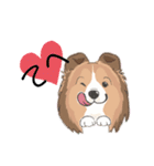 シェルティ『王子』いぬShetlandseepdog（個別スタンプ：18）