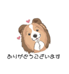 シェルティ『王子』いぬShetlandseepdog（個別スタンプ：19）
