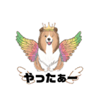 シェルティ『王子』いぬShetlandseepdog（個別スタンプ：29）