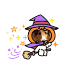 シェルティ『王子』いぬShetlandseepdog（個別スタンプ：40）