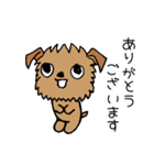 ブリュッセルグリフォンちゃん①（個別スタンプ：5）