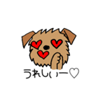 ブリュッセルグリフォンちゃん①（個別スタンプ：8）