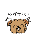 ブリュッセルグリフォンちゃん①（個別スタンプ：10）
