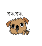 ブリュッセルグリフォンちゃん①（個別スタンプ：14）