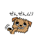 ブリュッセルグリフォンちゃん①（個別スタンプ：19）