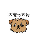 ブリュッセルグリフォンちゃん①（個別スタンプ：21）