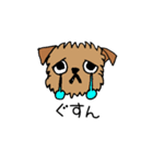 ブリュッセルグリフォンちゃん①（個別スタンプ：26）