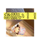かえるのしたじきあったお。第2弾（個別スタンプ：21）