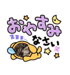 ブラウンプードル笑2（個別スタンプ：9）