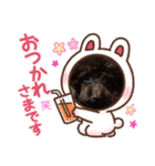 ブラウンプードル笑2（個別スタンプ：12）