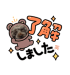 ブラウンプードル笑2（個別スタンプ：15）