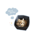 ジャスミンスタンプ.（個別スタンプ：7）