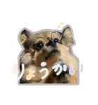 ジャスミンスタンプ.（個別スタンプ：9）