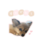 ジャスミンスタンプ.（個別スタンプ：10）