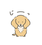 使いやすい動物たち  4（個別スタンプ：23）