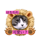 うっちゃんとガッシーねこーずスタンプ（個別スタンプ：3）