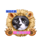 うっちゃんとガッシーねこーずスタンプ（個別スタンプ：4）