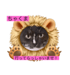 うっちゃんとガッシーねこーずスタンプ（個別スタンプ：6）