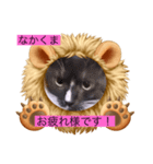 うっちゃんとガッシーねこーずスタンプ（個別スタンプ：7）
