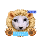 うっちゃんとガッシーねこーずスタンプ（個別スタンプ：9）