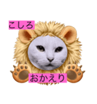 うっちゃんとガッシーねこーずスタンプ（個別スタンプ：14）