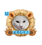 うっちゃんとガッシーねこーずスタンプ（個別スタンプ：15）
