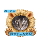 うっちゃんとガッシーねこーずスタンプ（個別スタンプ：18）