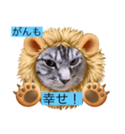 うっちゃんとガッシーねこーずスタンプ（個別スタンプ：19）