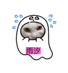 うっちゃんとガッシーねこーずスタンプ（個別スタンプ：24）
