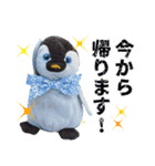 遂に出た！実写べんけいスタンプ（個別スタンプ：10）