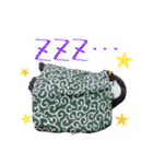 遂に出た！実写べんけいスタンプ（個別スタンプ：13）