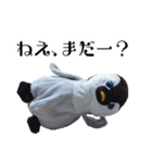 遂に出た！実写べんけいスタンプ（個別スタンプ：18）
