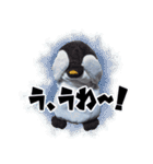 遂に出た！実写べんけいスタンプ（個別スタンプ：19）
