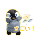 遂に出た！実写べんけいスタンプ（個別スタンプ：20）