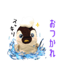 遂に出た！実写べんけいスタンプ（個別スタンプ：23）