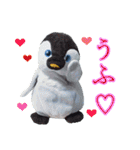 遂に出た！実写べんけいスタンプ（個別スタンプ：24）